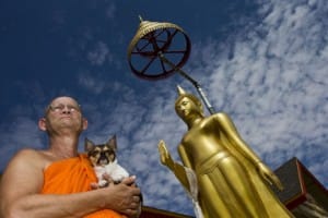 monk in az